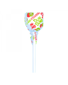 Dum-Dums Lollipop - Strawberry Kiwi