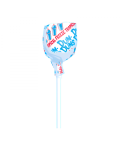 Dum-Dums Lollipop - Tropical Freeze
