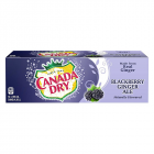 Canada Dry Blackberry Ginger Ale - 12-Pack (12 x 12fl.oz (355ml))