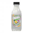 Mistic Tropical Lotta Colada Juice Drink - PET Bottle 15.9oz (470ml)